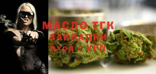 индика Лихославль