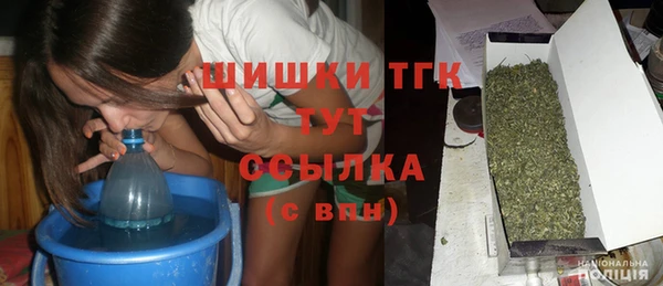 индика Лихославль