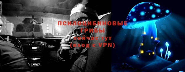 индика Лихославль