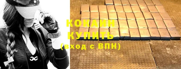 индика Лихославль
