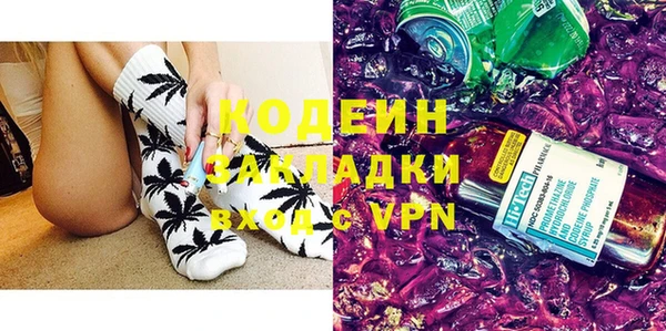 шишки Ладушкин