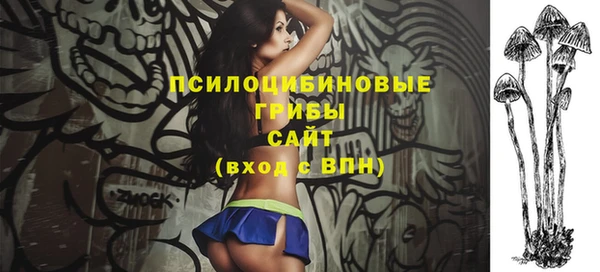 индика Лихославль