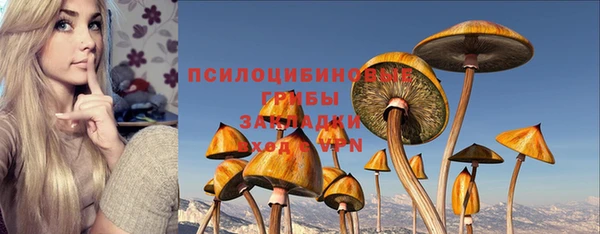 индика Лихославль
