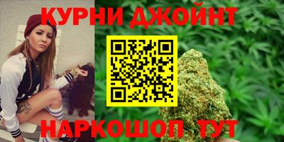 прущие крисы Гай