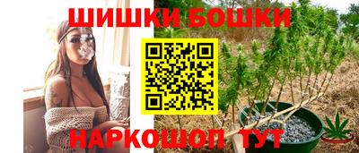 прущие крисы Гай