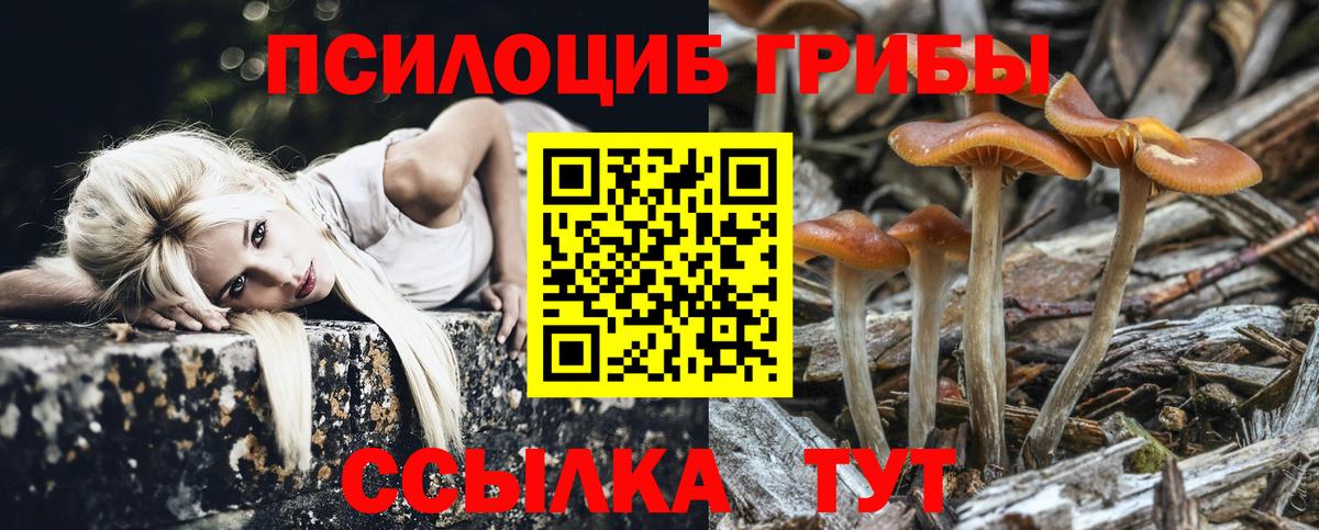 Галлюциногенные грибы Magic Shrooms  Галлюциногенные грибы MAGIC MUSHROOMS  Кинель 