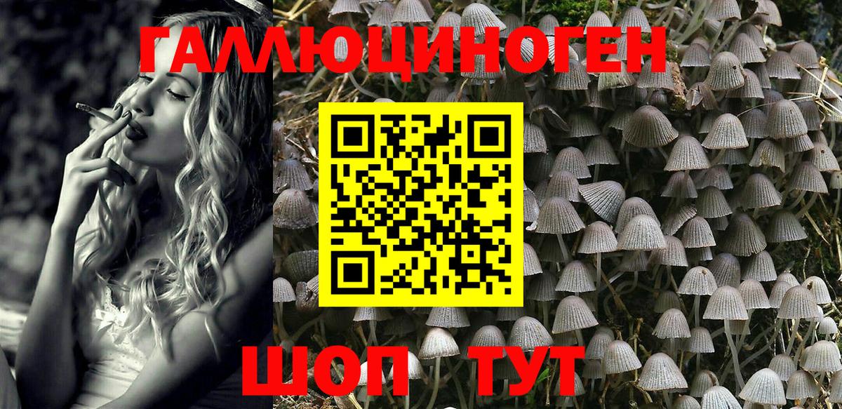 Галлюциногенные грибы Psilocybe  Вход с VPN  Галлюциногенные грибы ЛСД  Кинель 