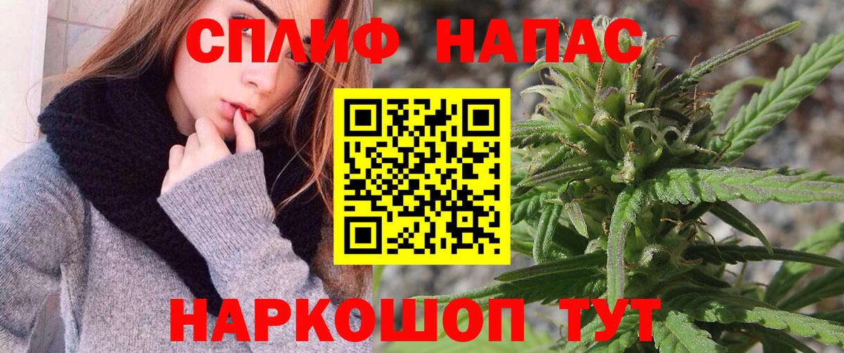 МАРИХУАНА план  МАРИХУАНА сатива  Кинель  Канабис SATIVA & INDICA 